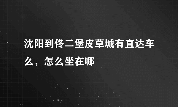 沈阳到佟二堡皮草城有直达车么，怎么坐在哪