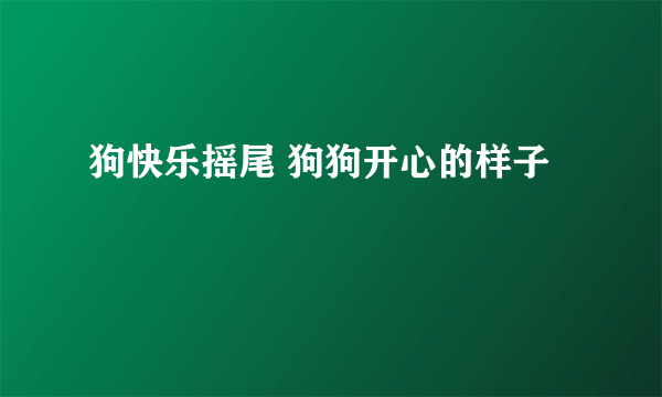 狗快乐摇尾 狗狗开心的样子