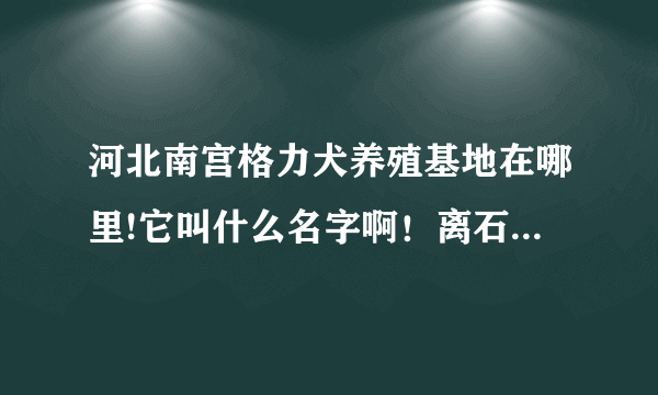 河北南宫格力犬养殖基地在哪里!它叫什么名字啊！离石家庄多远啊！