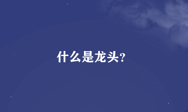 什么是龙头？