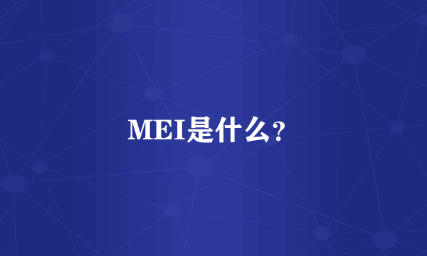 MEI是什么？