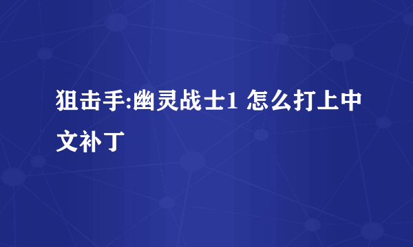 狙击手:幽灵战士1 怎么打上中文补丁