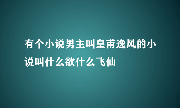 有个小说男主叫皇甫逸风的小说叫什么欲什么飞仙