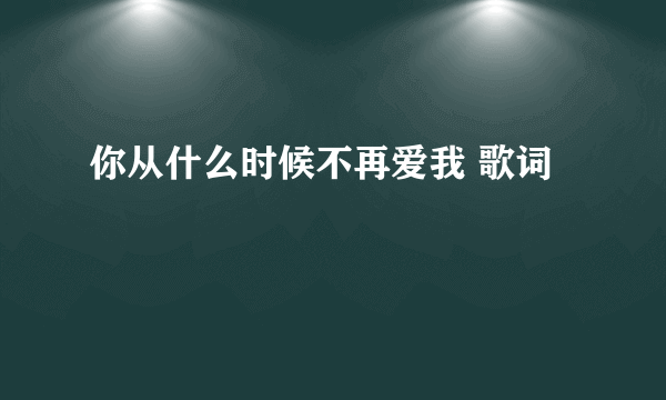 你从什么时候不再爱我 歌词