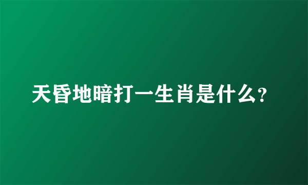 天昏地暗打一生肖是什么？