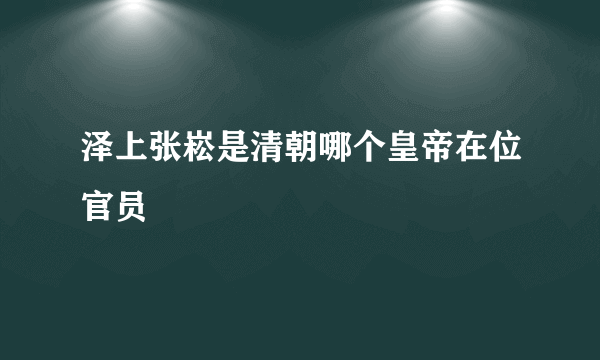 泽上张崧是清朝哪个皇帝在位官员