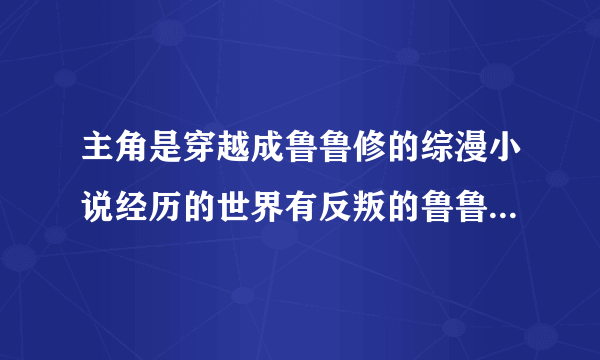 主角是穿越成鲁鲁修的综漫小说经历的世界有反叛的鲁鲁修，fate zero等