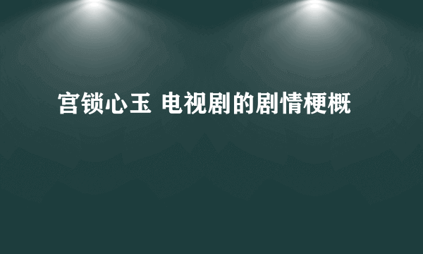 宫锁心玉 电视剧的剧情梗概