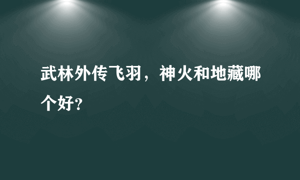 武林外传飞羽，神火和地藏哪个好？