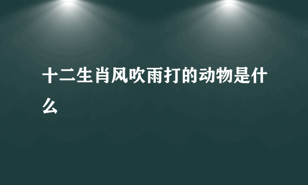 十二生肖风吹雨打的动物是什么