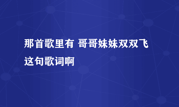 那首歌里有 哥哥妹妹双双飞 这句歌词啊