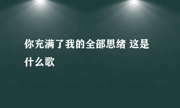 你充满了我的全部思绪 这是什么歌