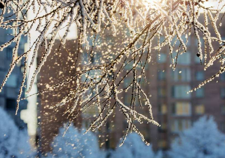 第一场雪发朋友圈短句