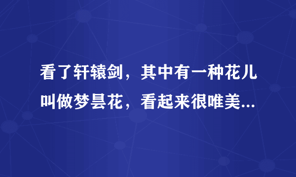 看了轩辕剑，其中有一种花儿叫做梦昙花，看起来很唯美，漂亮，梦昙花的花语是什么啊？