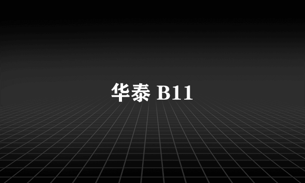 华泰 B11