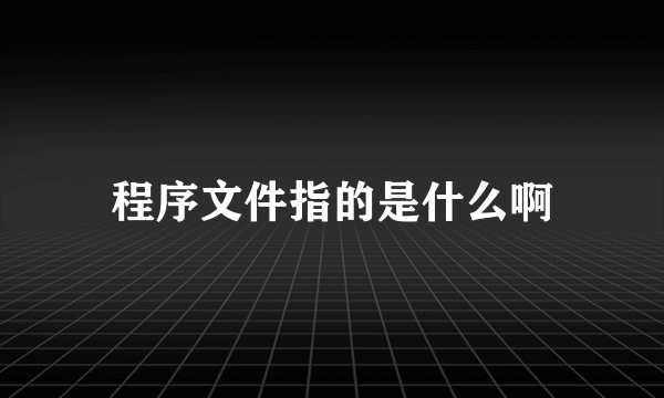 程序文件指的是什么啊