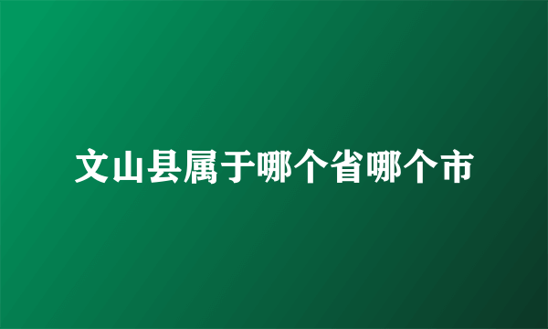 文山县属于哪个省哪个市