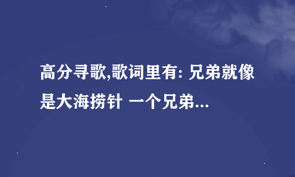 高分寻歌,歌词里有: 兄弟就像是大海捞针 一个兄弟一根针 针与针 不可分 没有纷争