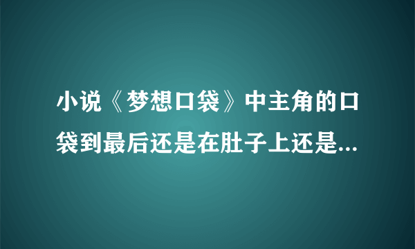 小说《梦想口袋》中主角的口袋到最后还是在肚子上还是怎么了？主角的女人有几个？