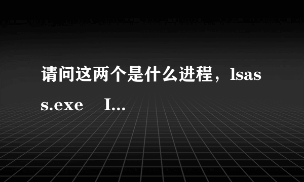 请问这两个是什么进程，lsass.exe    IEXPLORE.EXE?