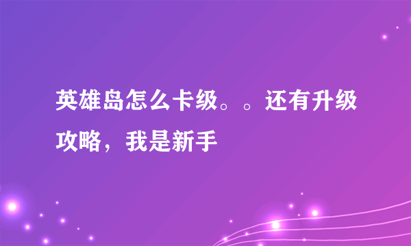 英雄岛怎么卡级。。还有升级攻略，我是新手