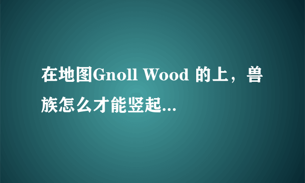 在地图Gnoll Wood 的上，兽族怎么才能竖起那根精到（9级岩石傀儡打不到）的箭塔？