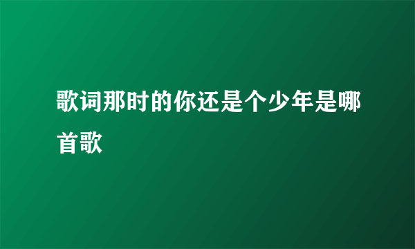 歌词那时的你还是个少年是哪首歌