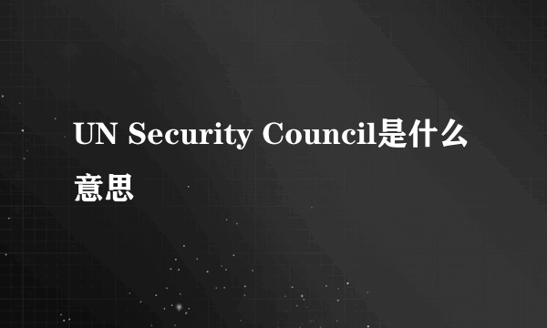 UN Security Council是什么意思