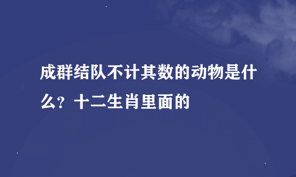 成群结队不计其数的动物是什么？十二生肖里面的