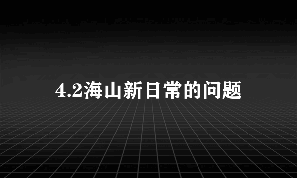 4.2海山新日常的问题