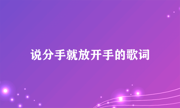 说分手就放开手的歌词