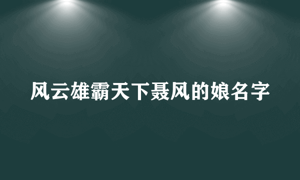 风云雄霸天下聂风的娘名字