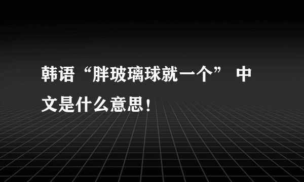 韩语“胖玻璃球就一个” 中文是什么意思！