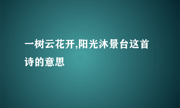 一树云花开,阳光沐景台这首诗的意思