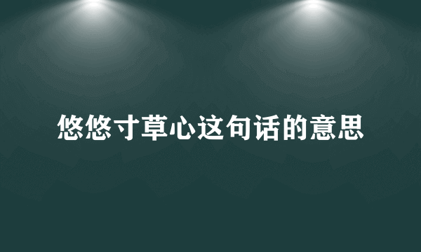 悠悠寸草心这句话的意思