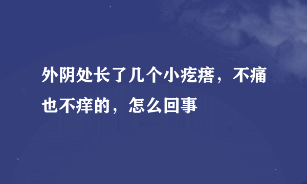 外阴处长了几个小疙瘩，不痛也不痒的，怎么回事