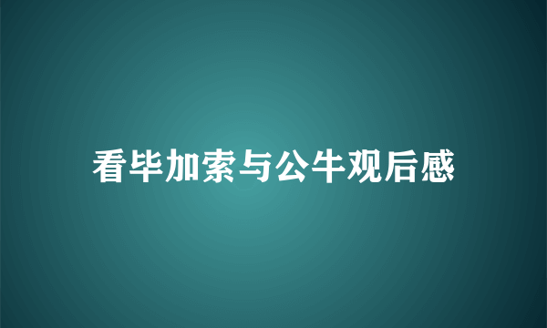 看毕加索与公牛观后感