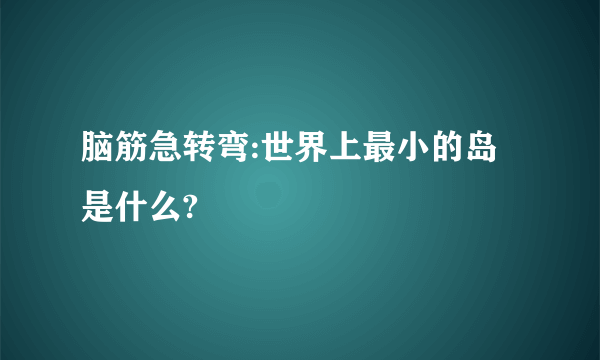 脑筋急转弯:世界上最小的岛是什么?