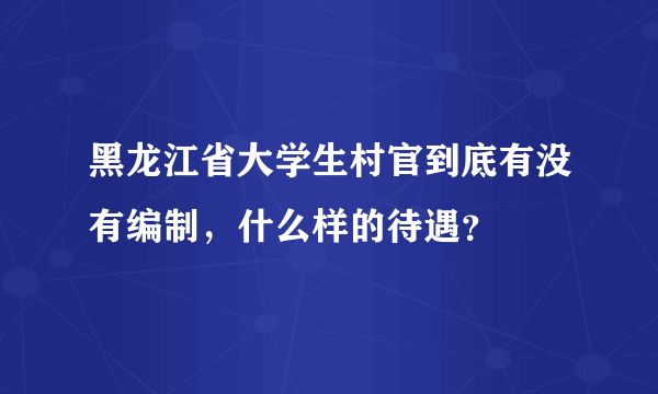 黑龙江省大学生村官到底有没有编制，什么样的待遇？