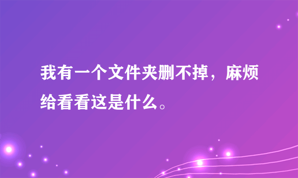 我有一个文件夹删不掉，麻烦给看看这是什么。