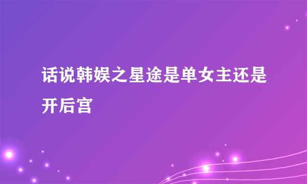 话说韩娱之星途是单女主还是开后宫