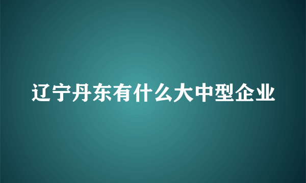 辽宁丹东有什么大中型企业