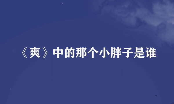 《爽》中的那个小胖子是谁