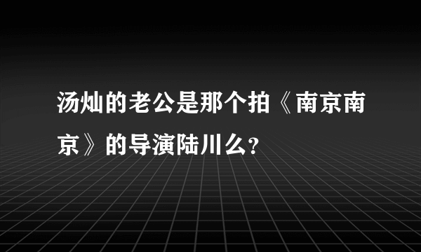 汤灿的老公是那个拍《南京南京》的导演陆川么？