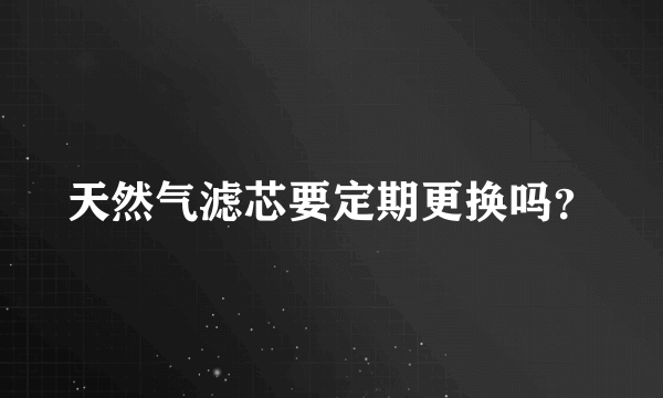 天然气滤芯要定期更换吗？