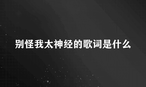 别怪我太神经的歌词是什么