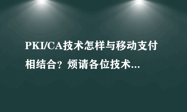 PKI/CA技术怎样与移动支付相结合？烦请各位技术咖详细指点，非常感谢！