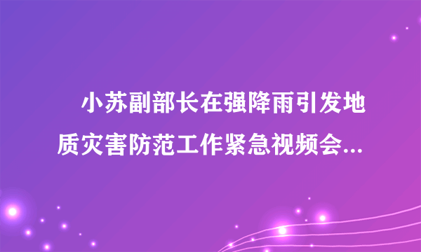 贠小苏副部长在强降雨引发地质灾害防范工作紧急视频会议上的讲话