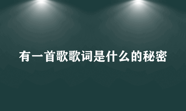 有一首歌歌词是什么的秘密