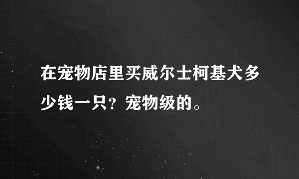 在宠物店里买威尔士柯基犬多少钱一只？宠物级的。